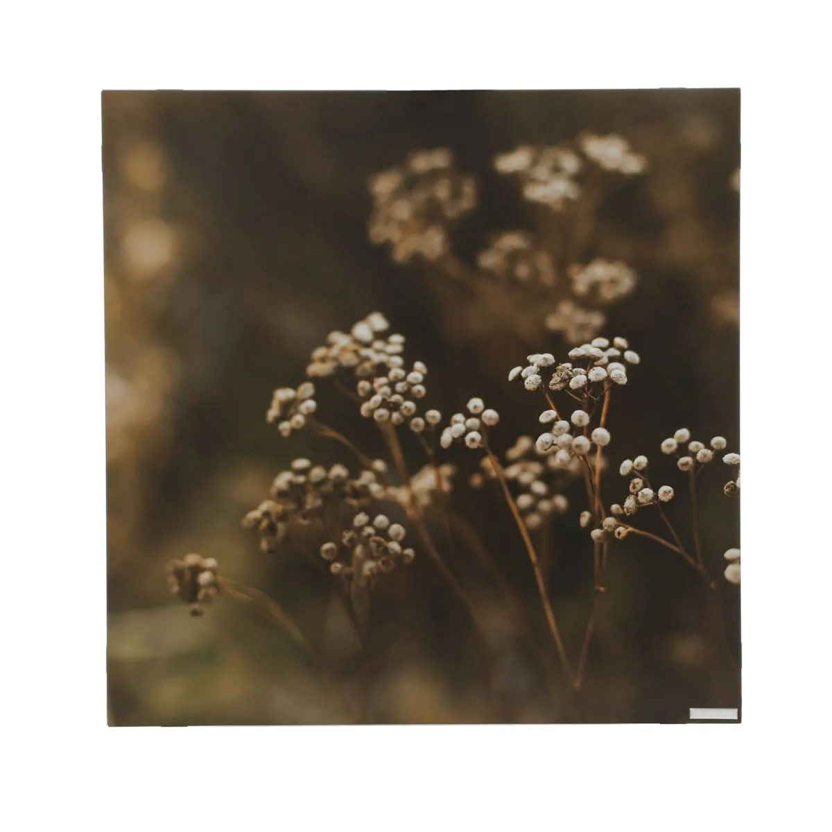 Herschel Infrarotpanel Inspire Abbildung EU-BH-500