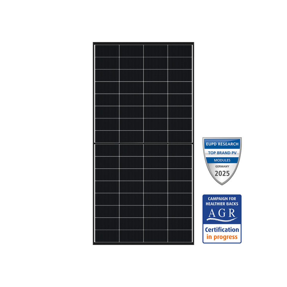 DMEGC DM260M10T-B32HBT Doppelglas-Solarmodul transparent Infinity