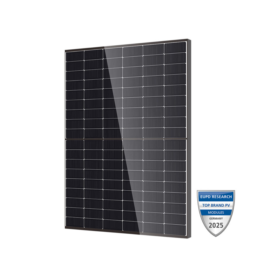 DMEGC DM455M10RT-B54HBT Doppelglas-Solarmodul transparent Infinity RT