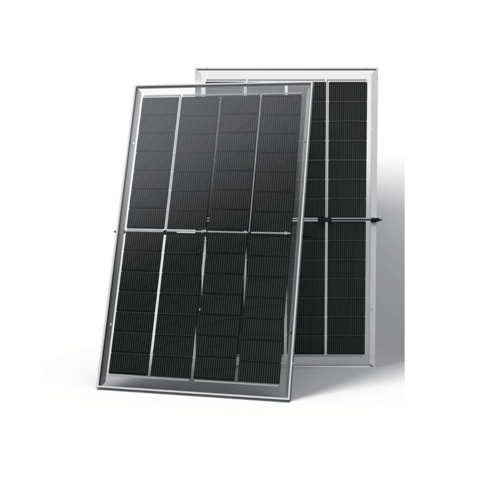 Trina TSM-295NEG9M4C.26 295 Wp Solarmodul Doppelglas